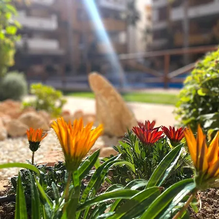 La Recoleta - Punta Prima